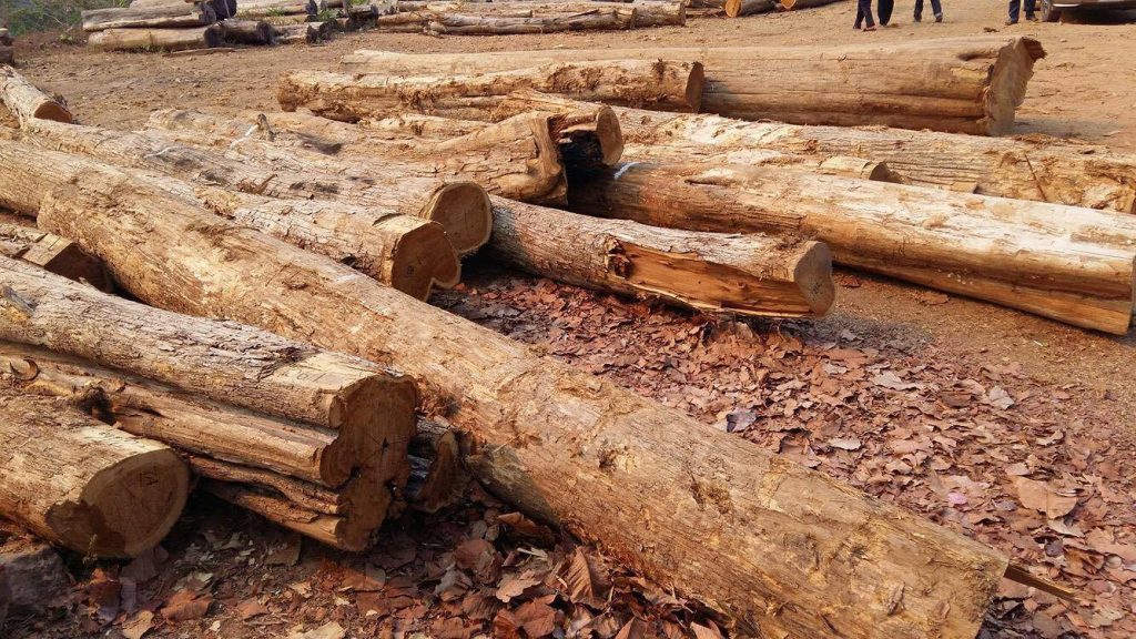 12953112_1087293031313981_888896167_o