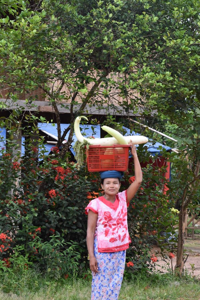 14151739_10209511580842325_1795059358_o