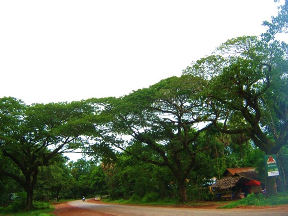 paan3