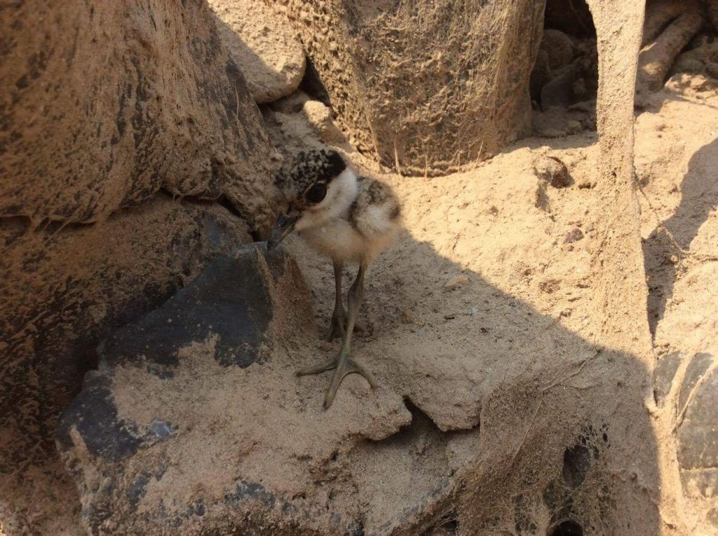 received_1101699086540042